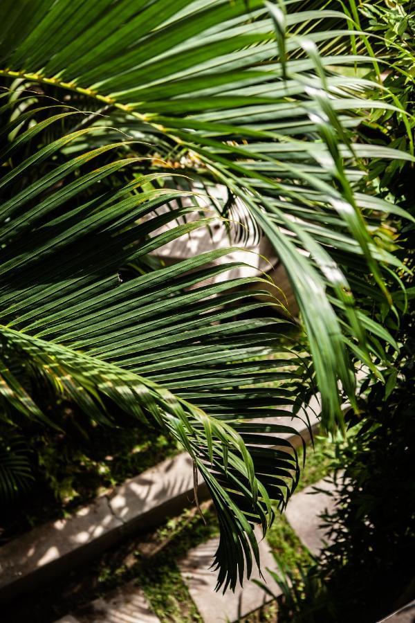 The Spare Room Bali Чангу Экстерьер фото
